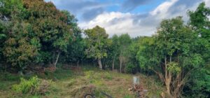 TERRAIN A VENDRE A LA RIVIERE SAINT-LOUIS DE LA REUNION