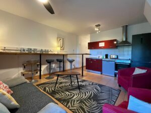 APPARTEMENT T3 BIS MEUBLÉ À LOUER À LA LIGNE PARADIS DE SAINT-PIERRE DE LA RÉUNION