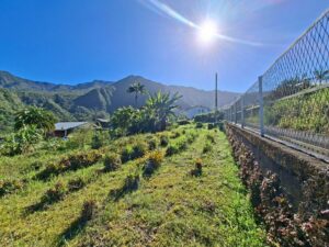 TERRAIN A VENDRE A LA RIVIERE SAINT-LOUIS