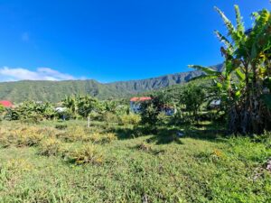 TERRAIN A VENDRE A LA RIVIERE SAINT LOUIS DE LA RÉUNION